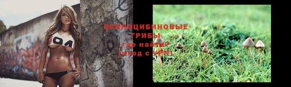 a pvp Заводоуковск