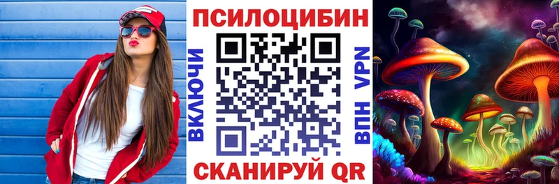 Псилоцибиновые грибы Psilocybe  Купить закладки  Ленинградская 